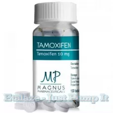 Tamoxifeno 10 mg da Magnus Pharma