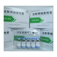 HCG China 20000iu HCG China 20000iu