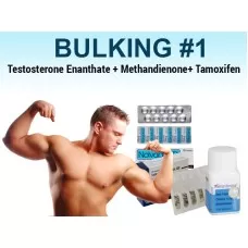 CICLO DE ESTERÓIDE DE BULKING #1 PRÉ-VERÃO
